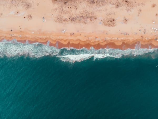 Descubre las Mejores Zonas de Punta del Este para Familias: ¡Tu Guía de Casas de Vacaciones!